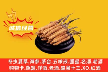 朔州市回收冬虫夏草
